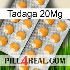 Tadaga 20Mg levitra2